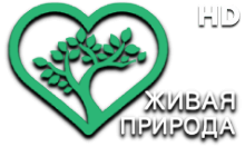 Живая Природа HD