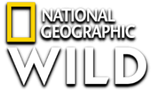 Nat Geo Wild HD [NL]