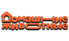 Домашние Животные