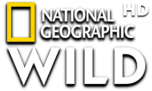 Nat Geo Wild HD