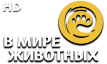 В Мире Животных HD