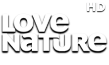 Love Nature HD