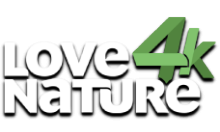 Love Nature 4K