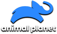 Animal Planet HD [PL]