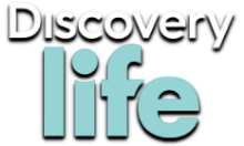 Discovery Life [PL]