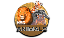 KBC-Animals